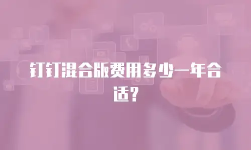 钉钉混合版费用多少一年合适？