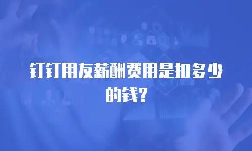 钉钉用友薪酬费用是扣多少的钱？
