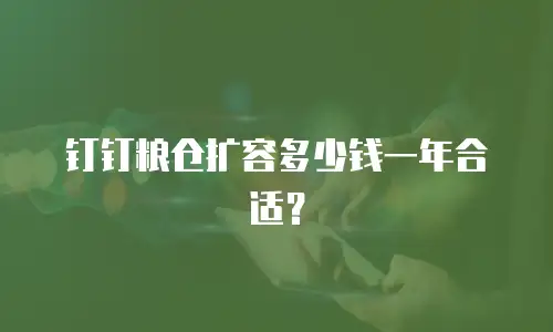 钉钉粮仓扩容多少钱一年合适？