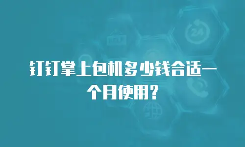 钉钉掌上包机多少钱合适一个月使用？