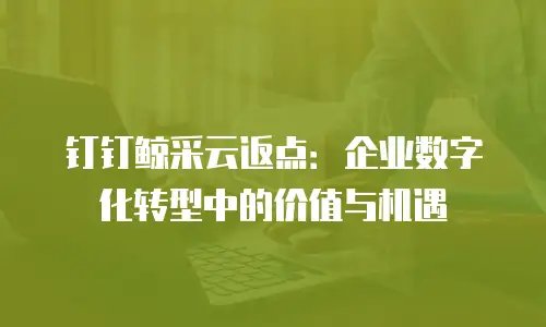 钉钉鲸采云返点：企业数字化转型中的价值与机遇