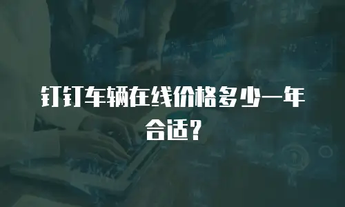 钉钉车辆在线价格多少一年合适？