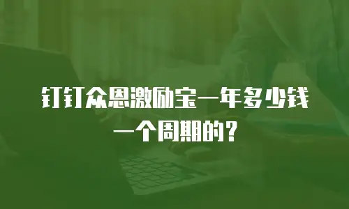 钉钉众恩激励宝一年多少钱一个周期的？