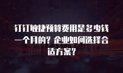 钉钉敏捷预算费用是多少钱一个月的？企业如何选择合适方案？