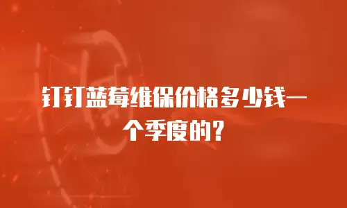 钉钉蓝莓维保价格多少钱一个季度的？