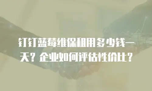 钉钉蓝莓维保租用多少钱一天？企业如何评估性价比？