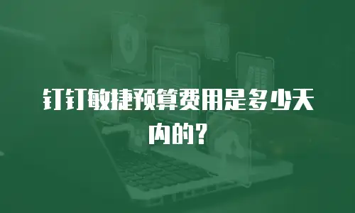钉钉敏捷预算费用是多少天内的？