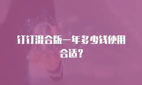 钉钉混合版一年多少钱使用合适？
