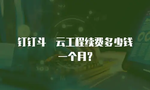 钉钉斗栱云工程续费多少钱一个月？