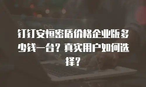 钉钉安恒密盾价格企业版多少钱一台？真实用户如何选择？