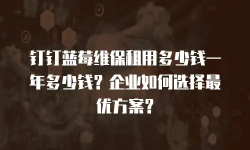 钉钉蓝莓维保租用多少钱一年多少钱？企业如何选择最优方案？