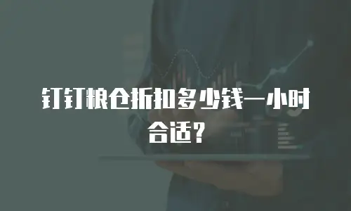 钉钉粮仓折扣多少钱一小时合适？