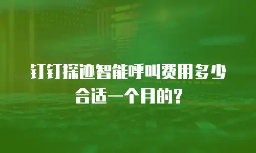 钉钉探迹智能呼叫费用多少合适一个月的？