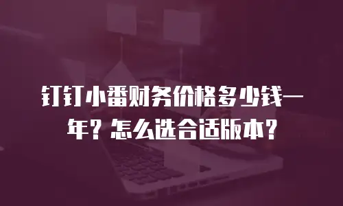 钉钉小番财务价格多少钱一年？怎么选合适版本？