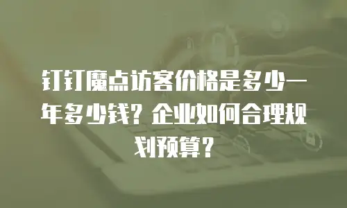 钉钉魔点访客价格是多少一年多少钱？企业如何合理规划预算？
