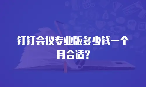 钉钉会议专业版多少钱一个月合适？
