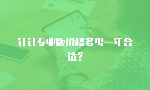 钉钉专业版价格多少一年合适？
