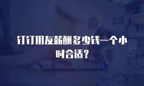 钉钉用友薪酬多少钱一个小时合适？