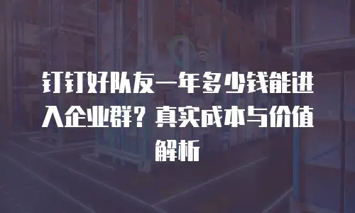 钉钉好队友一年多少钱能进入企业群？真实成本与价值解析
