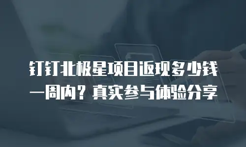 钉钉北极星项目返现多少钱一周内？真实参与体验分享
