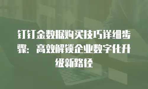 钉钉金数据购买技巧详细步骤：高效解锁企业数字化升级新路径