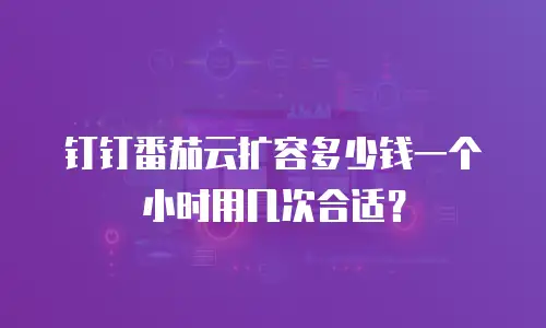 钉钉番茄云扩容多少钱一个小时用几次合适？