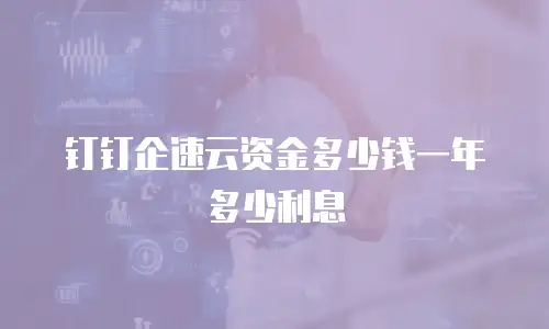钉钉企速云资金多少钱一年多少利息