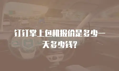 钉钉掌上包机报价是多少一天多少钱？