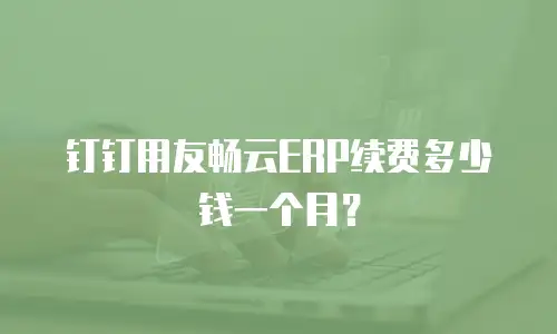 钉钉用友畅云ERP续费多少钱一个月？