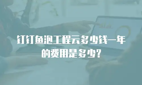 钉钉鱼泡工程云多少钱一年的费用是多少？