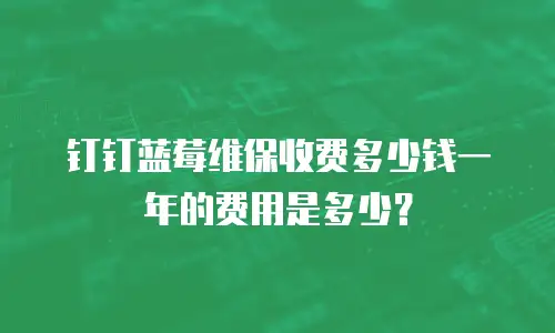 钉钉蓝莓维保收费多少钱一年的费用是多少？
