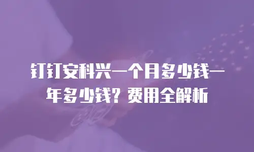 钉钉安科兴一个月多少钱一年多少钱？费用全解析