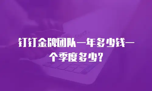 钉钉金牌团队一年多少钱一个季度多少？