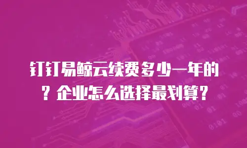 钉钉易鲸云续费多少一年的？企业怎么选择最划算？