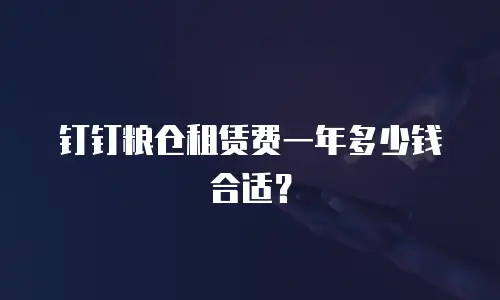 钉钉粮仓租赁费一年多少钱合适？