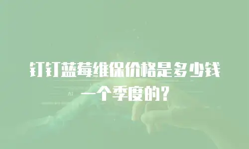 钉钉蓝莓维保价格是多少钱一个季度的？