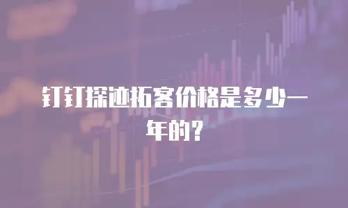 钉钉探迹拓客价格是多少一年的？