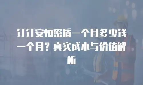 钉钉安恒密盾一个月多少钱一个月？真实成本与价值解析