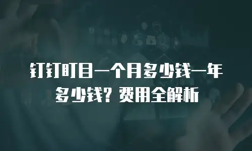 钉钉盯目一个月多少钱一年多少钱？费用全解析