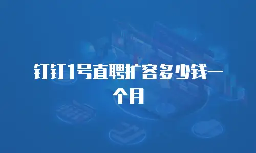 钉钉1号直聘扩容多少钱一个月