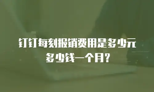 钉钉每刻报销费用是多少元多少钱一个月？