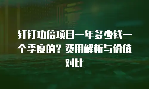 钉钉功倍项目一年多少钱一个季度的？费用解析与价值对比