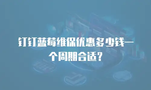 钉钉蓝莓维保优惠多少钱一个周期合适？