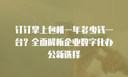 钉钉掌上包机一年多少钱一台？全面解析企业数字化办公新选择