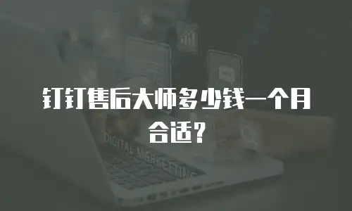 钉钉售后大师多少钱一个月合适？