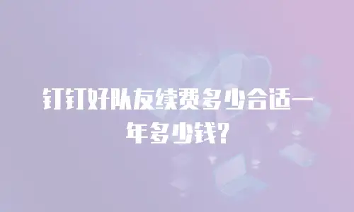 钉钉好队友续费多少合适一年多少钱？
