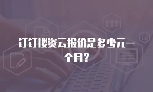 钉钉楼资云报价是多少元一个月？
