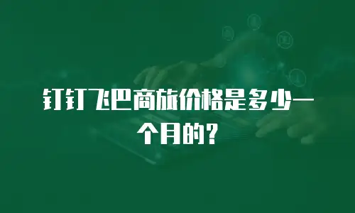 钉钉飞巴商旅价格是多少一个月的？