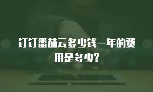 钉钉番茄云多少钱一年的费用是多少？