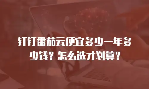 钉钉番茄云便宜多少一年多少钱？怎么选才划算？